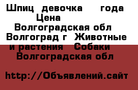 Шпиц- девочка 2,5 года › Цена ­ 15 000 - Волгоградская обл., Волгоград г. Животные и растения » Собаки   . Волгоградская обл.